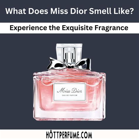 fragrância miss dior|what does Miss Dior smell like.